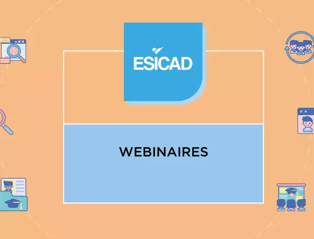 vignette-esicad3